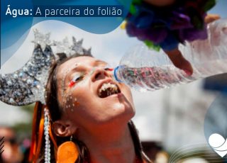 Vai aproveitar alguns dias de festa? Então dê uma olhada nesse texto e saiba como evitar a ressaca.