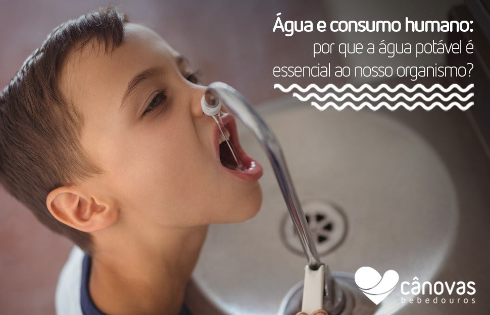 Água e consumo humano: por que a água potável é essencial ao nosso organismo?